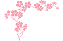 Наклейки для стен - цветы - Угловая сакура