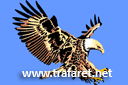 Трафареты животных - Белоголовый орлан