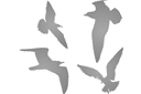 Контурные трафареты - Четыре чайки