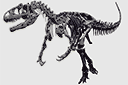Трафареты динозавров - Скелет аллозавра