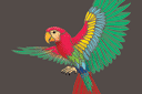 Трафареты животных и растений тропиков - Летящий попугай