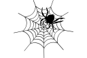 Трафареты насекомых и букашек - Большой паук на паутине
