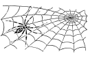 Трафареты насекомых и букашек - Тощий паук на паутине