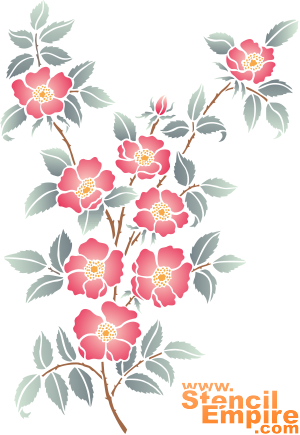 Растущий шиповник (Трафареты цветов розы)