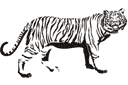 Наклейки для стен - животные - Тигр 04