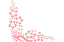 Наклейки для стен - цветы - Угол сакура