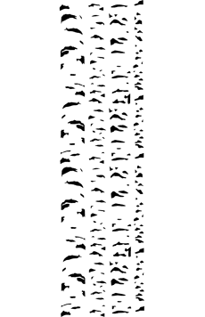 Березки (Трафареты деревьев)