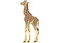 Трафареты животных - Детеныш жирафа