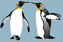 Трафареты животных - Четыре пингвина