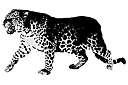 Трафареты животных - Леопард