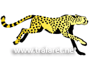 Трафареты животных - Гепард