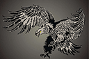 Трафареты животных - Атакующий орел