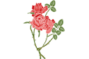 Трафареты цветов розы - Колючие розы