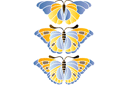 Трафареты бабочек и стрекоз - Большие бабочки 2