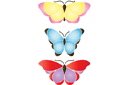 Трафареты бабочек и стрекоз - Большие бабочки