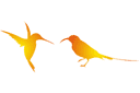 Контурные трафареты - Две колибри