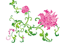 Трафареты цветов - Китайская хризантема
