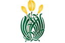 Трафареты цветов - Желтые тюльпаны