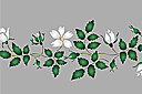 Трафареты цветов розы - Белый шиповник - бордюр