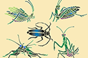 Трафареты насекомых и букашек - Пять насекомых
