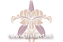 Трафареты цветов - Орхидея Грассе