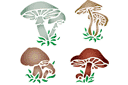 Садовые трафареты - Разные грибы