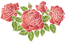Трафареты цветов розы - Алые розы 2