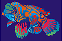 Трафареты красного моря - Мандариновая рыба
