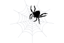 Трафареты насекомых и букашек - Большой паук и паутина