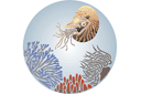 Морские трафаретные муралы - Моллюск