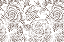 Трафареты цветов розы - Большие розы 79в