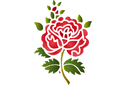 Трафареты цветов - Фолк роза 11а