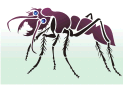 Трафареты животных мелким оптом - Большой муравей. Упак.  4 шт.
