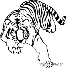 Тигр 01