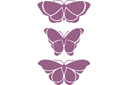 Большие бабочки