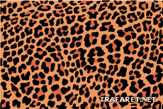 Пятна леопарда - трафарет для декора