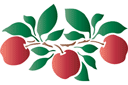 Яблочный мотив - трафареты фруктов