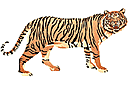 Тигр - лесные трафареты