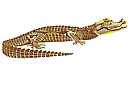 Крокодил (трафарет, малая картинка)
