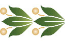 Классический бордюр II - трафареты растительных бордюров