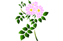Полевые цветы 68 (трафарет, малая картинка)