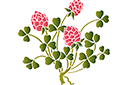 Цветущий клевер 76-2 - трафареты цветов