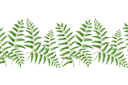 Папоротниковый бордюр 12 - трафареты травы и листьев
