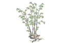 Бамбук на скалах - трафареты травы и листьев