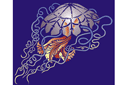 Большая медуза - морские трафареты