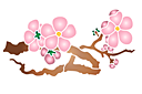 Ветка сакуры с цветами А - восточные трафареты